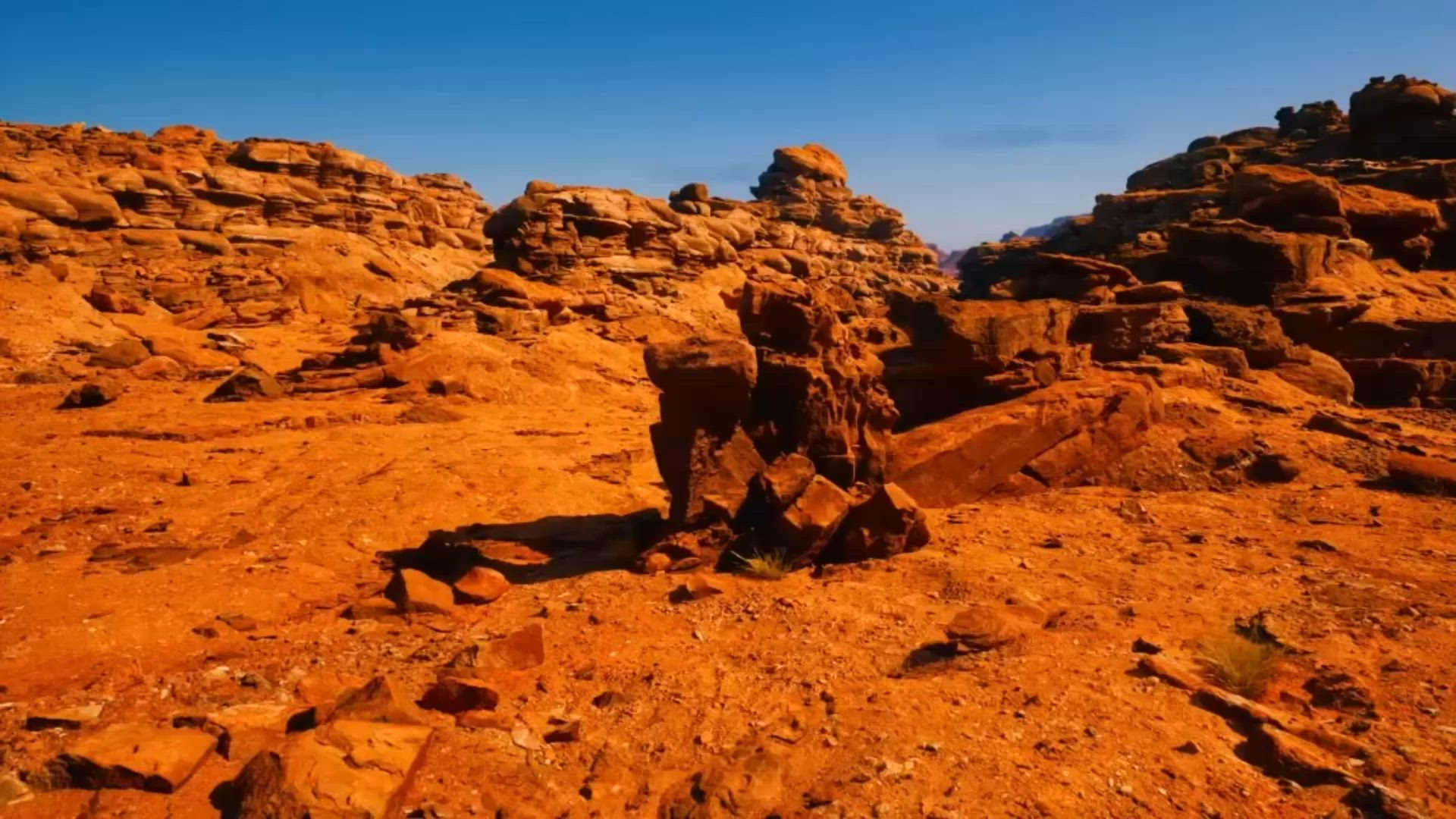 Why Should You Use Native Plants for Landscaping in Arizona?